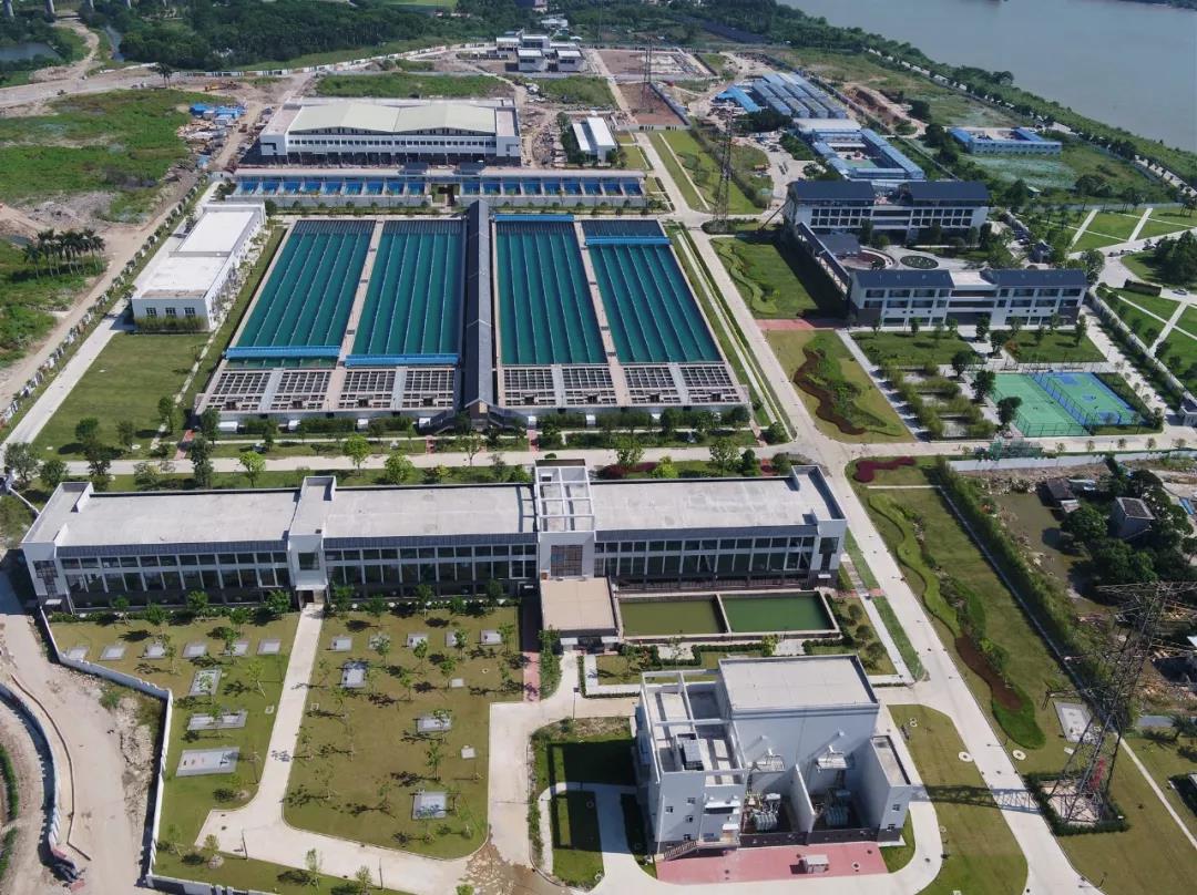 AA
