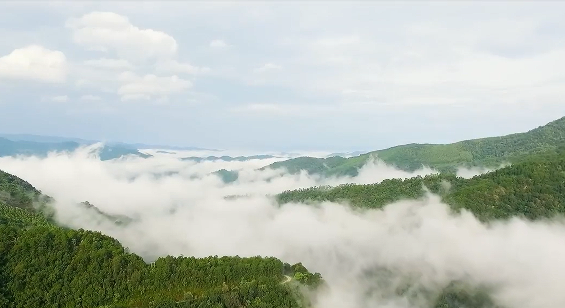 《CITIC Environmental Technology Promotion Video》